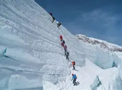 日本联赛球员进球后翻越围栏庆祝